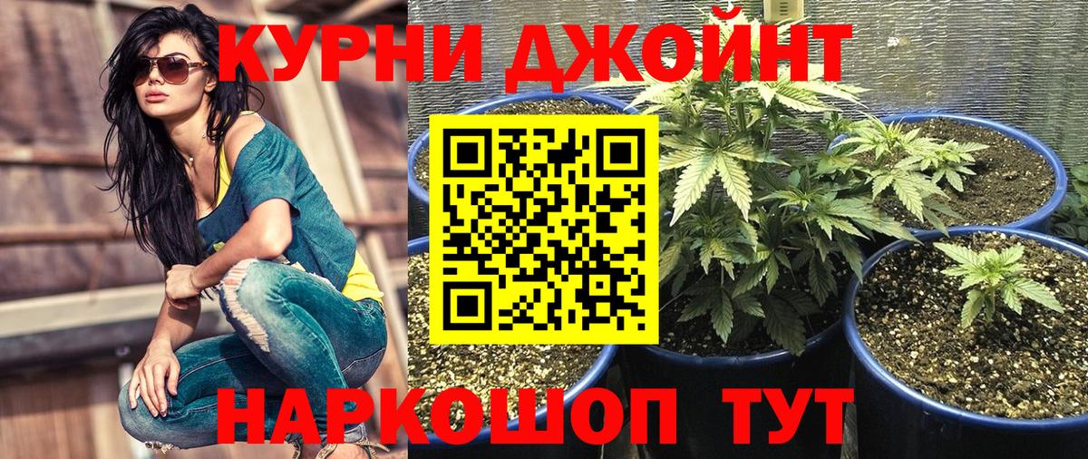Бошки Шишки SATIVA & INDICA  Шишки марихуана план  Чехов  Каннабис марихуана  Вход с VPN 
